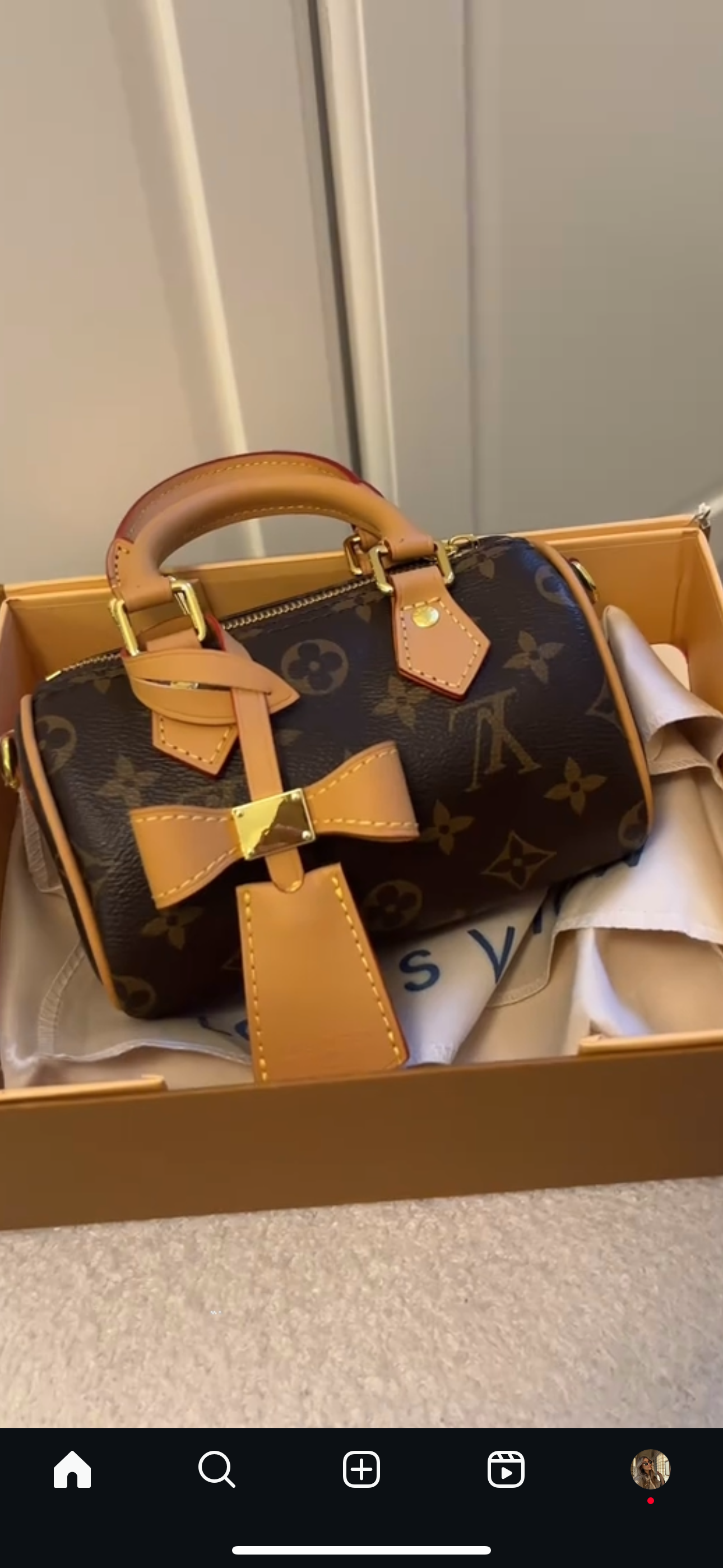 louis vuitton nano speedy